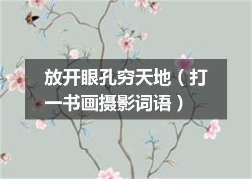 放开眼孔穷天地（打一书画摄影词语）