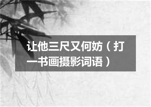 让他三尺又何妨（打一书画摄影词语）