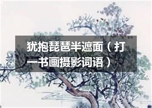 犹抱琵琶半遮面（打一书画摄影词语）