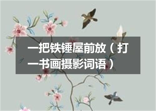 一把铁锤屋前放（打一书画摄影词语）