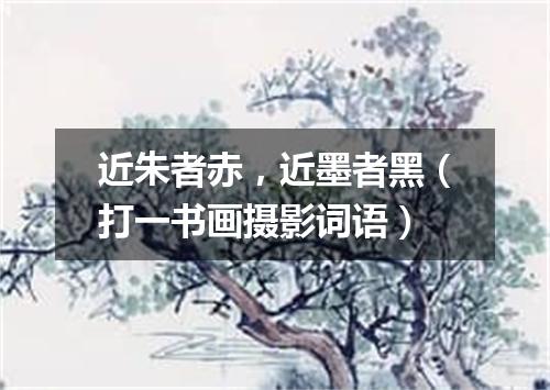 近朱者赤，近墨者黑（打一书画摄影词语）