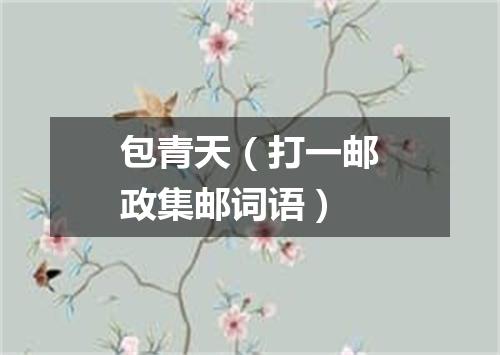 包青天（打一邮政集邮词语）