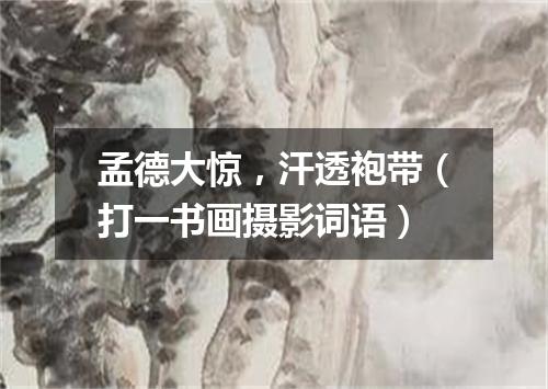 孟德大惊，汗透袍带（打一书画摄影词语）