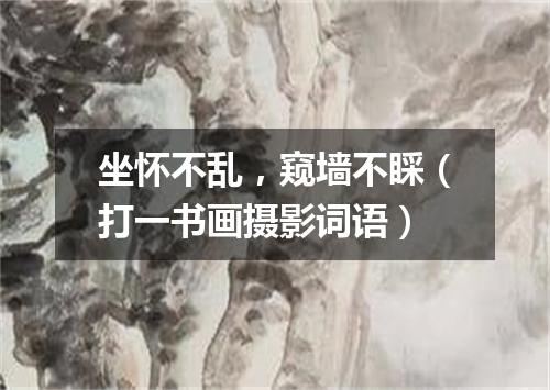 坐怀不乱，窥墙不睬（打一书画摄影词语）