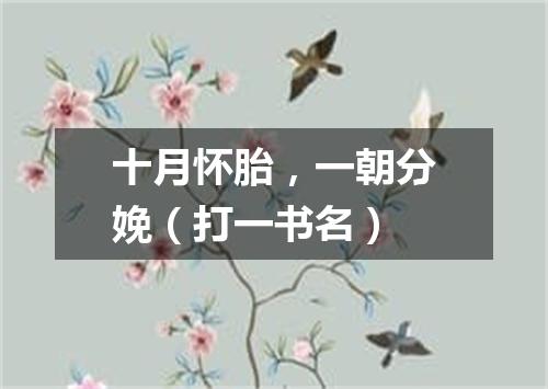十月怀胎，一朝分娩（打一书名）