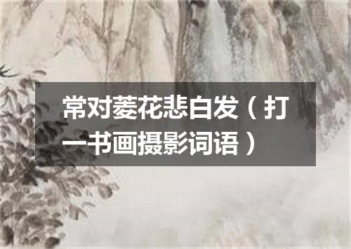 常对菱花悲白发（打一书画摄影词语）