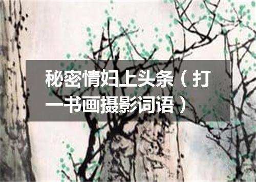 秘密情妇上头条（打一书画摄影词语）
