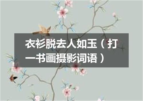 衣衫脱去人如玉（打一书画摄影词语）