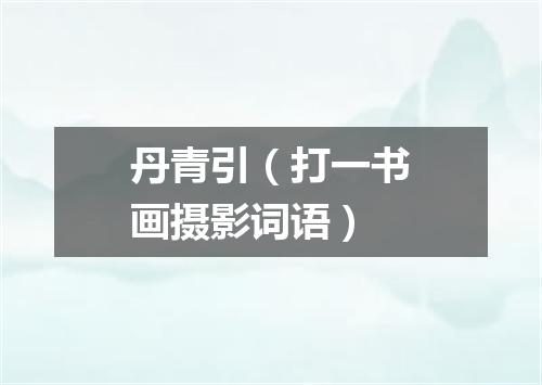 丹青引（打一书画摄影词语）