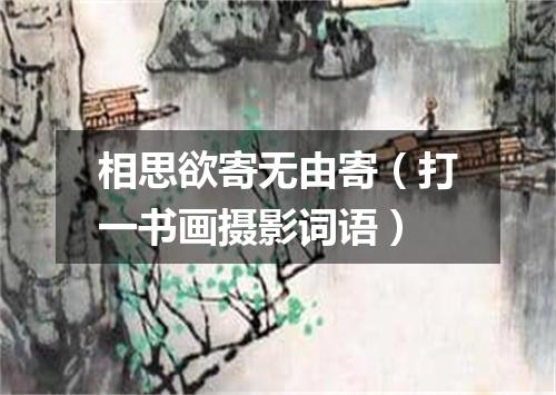 相思欲寄无由寄（打一书画摄影词语）