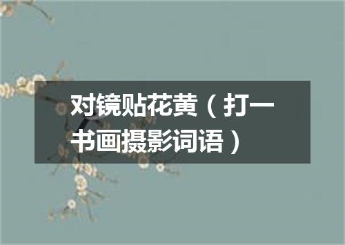 对镜贴花黄（打一书画摄影词语）