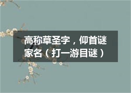 高称草圣字，仰首谜家名（打一游目谜）