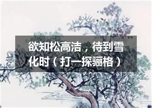 欲知松高洁，待到雪化时（打一探骊格）