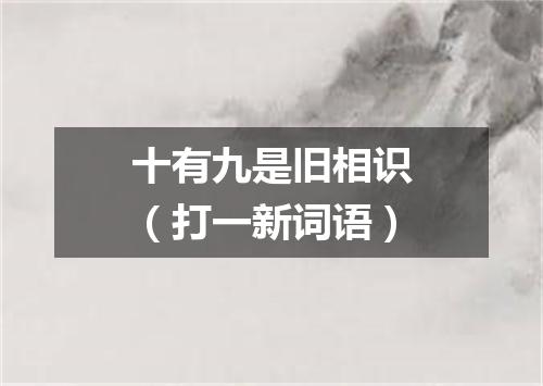 十有九是旧相识（打一新词语）