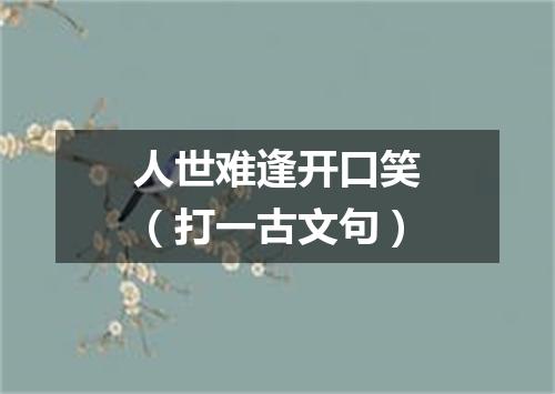 人世难逢开口笑（打一古文句）