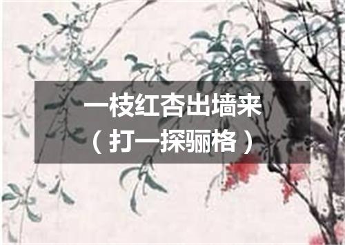 一枝红杏出墙来（打一探骊格）