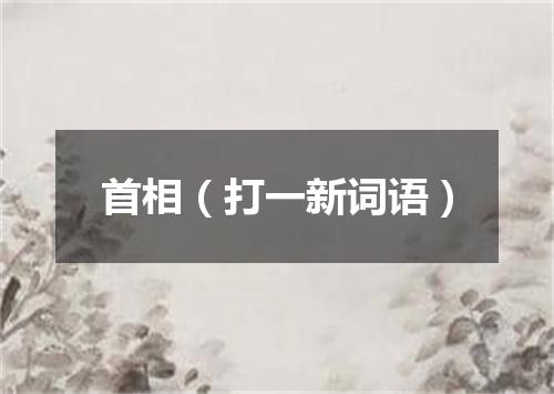 首相（打一新词语）