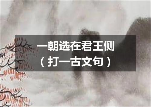 一朝选在君王侧（打一古文句）