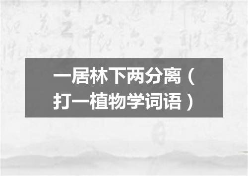 一居林下两分离（打一植物学词语）