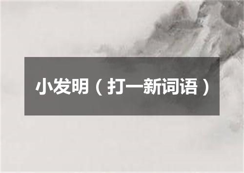 小发明（打一新词语）