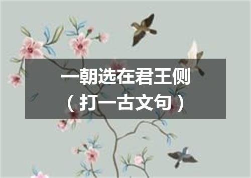 一朝选在君王侧（打一古文句）