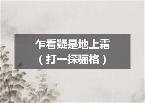 乍看疑是地上霜（打一探骊格）