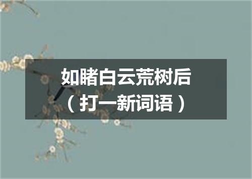 如睹白云荒树后（打一新词语）