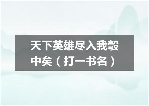 天下英雄尽入我彀中矣（打一书名）