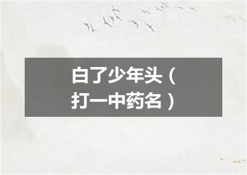 白了少年头（打一中药名）