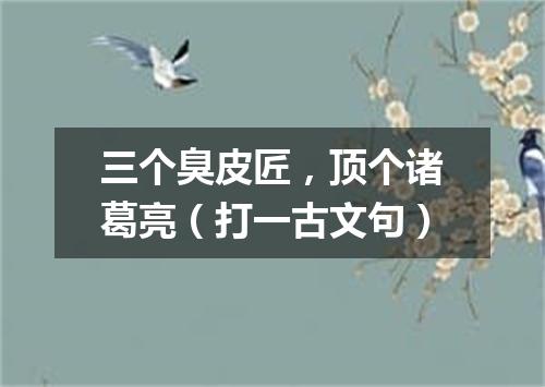 三个臭皮匠，顶个诸葛亮（打一古文句）