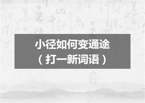 小径如何变通途（打一新词语）
