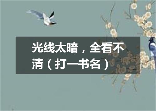 光线太暗，全看不清（打一书名）