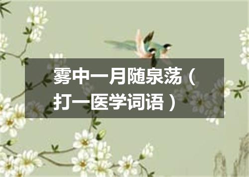 雾中一月随泉荡（打一医学词语）