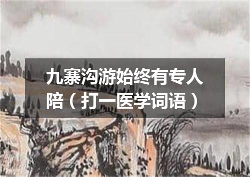 九寨沟游始终有专人陪（打一医学词语）