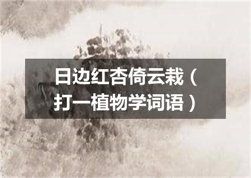 日边红杏倚云栽（打一植物学词语）