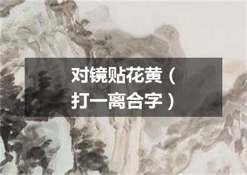 对镜贴花黄（打一离合字）