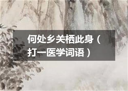 何处乡关栖此身（打一医学词语）