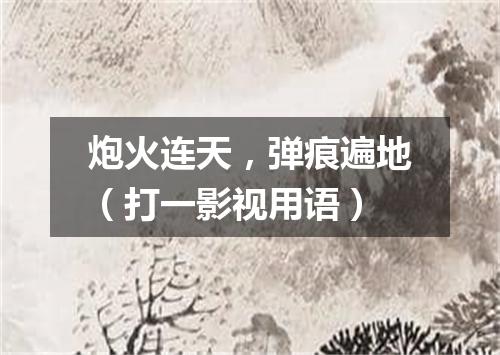 炮火连天，弹痕遍地（打一影视用语）