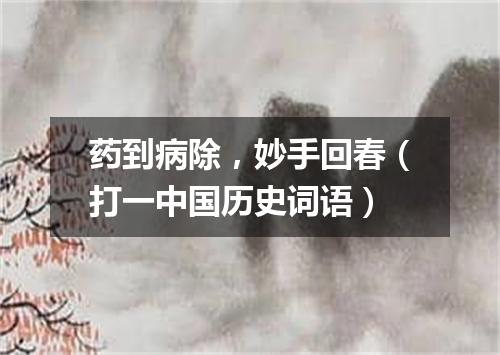 药到病除，妙手回春（打一中国历史词语）