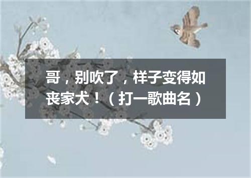 哥，别吹了，样子变得如丧家犬！（打一歌曲名）