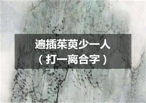 遍插茱萸少一人（打一离合字）