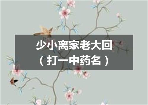 少小离家老大回（打一中药名）