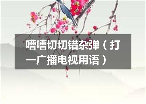 嘈嘈切切错杂弹（打一广播电视用语）