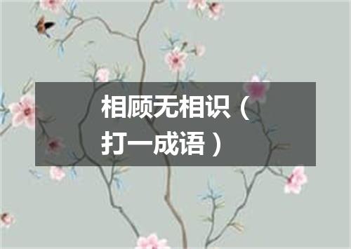 相顾无相识（打一成语）