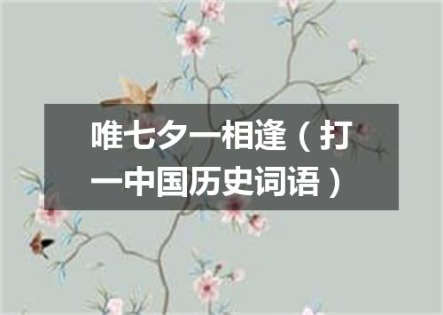 唯七夕一相逢（打一中国历史词语）