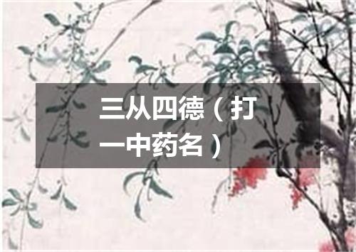 三从四德（打一中药名）