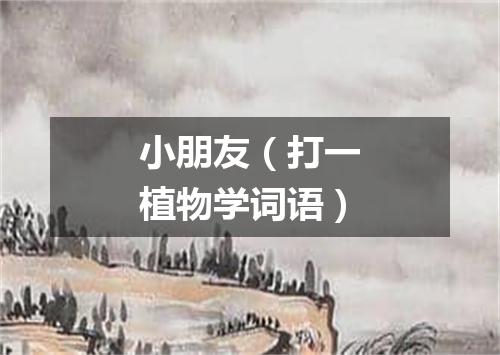 小朋友（打一植物学词语）