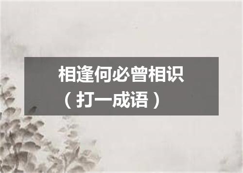 相逢何必曾相识（打一成语）