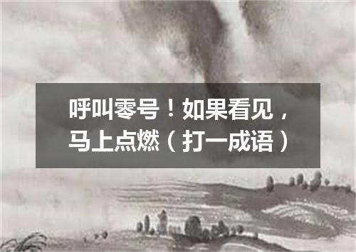 呼叫零号！如果看见，马上点燃（打一成语）