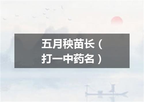 五月秧苗长（打一中药名）